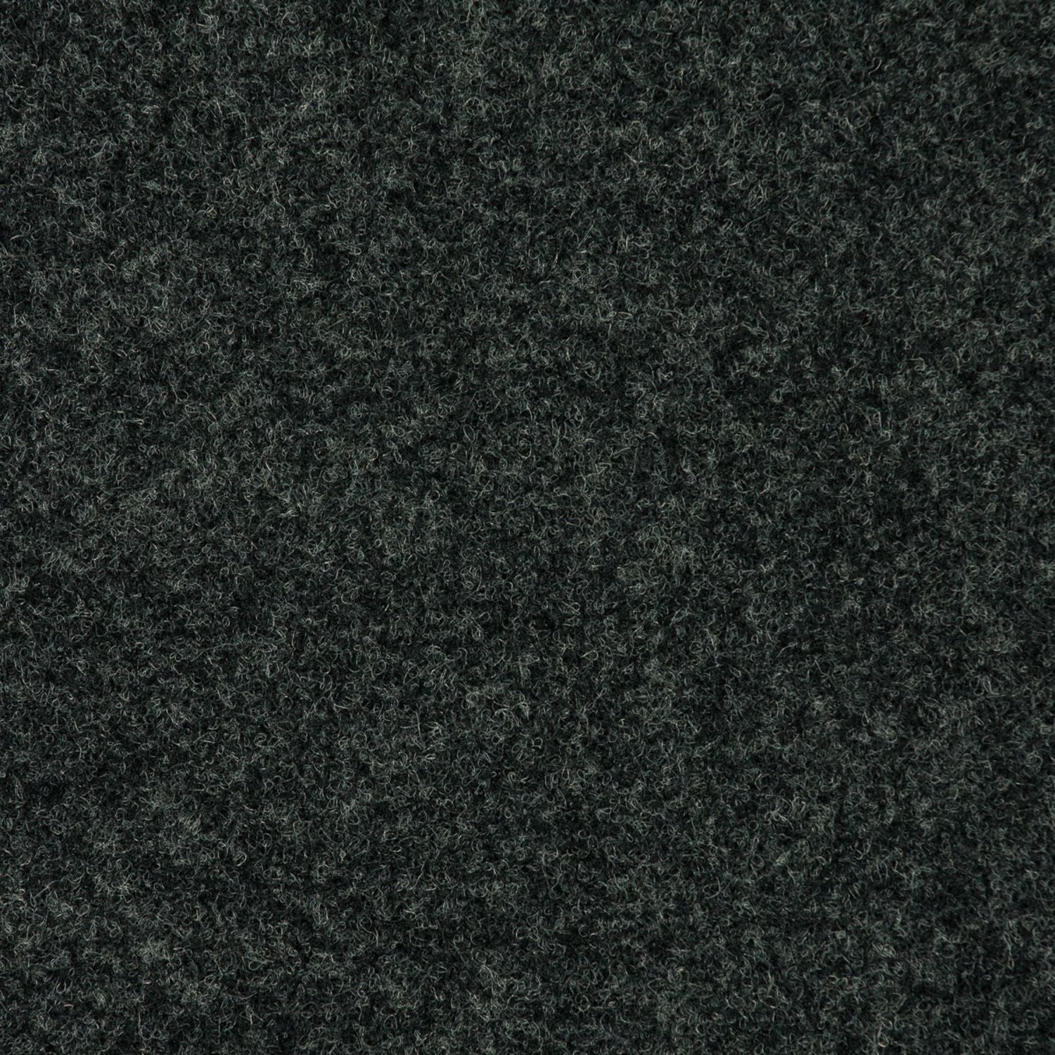 Carpet Color Swatch