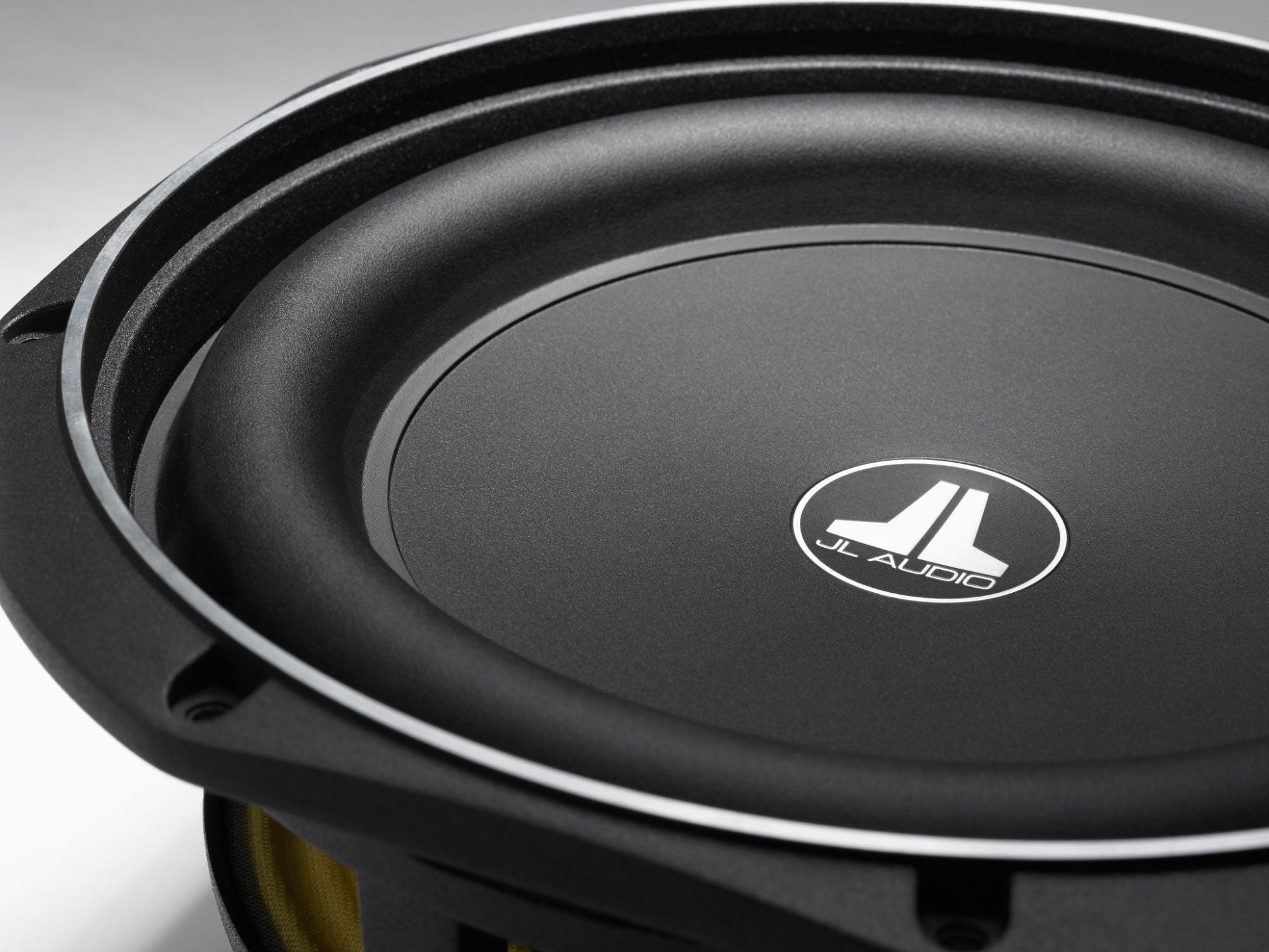 Detail of 10TW1 Subwoofer showing Frame and Surround on Right Edge