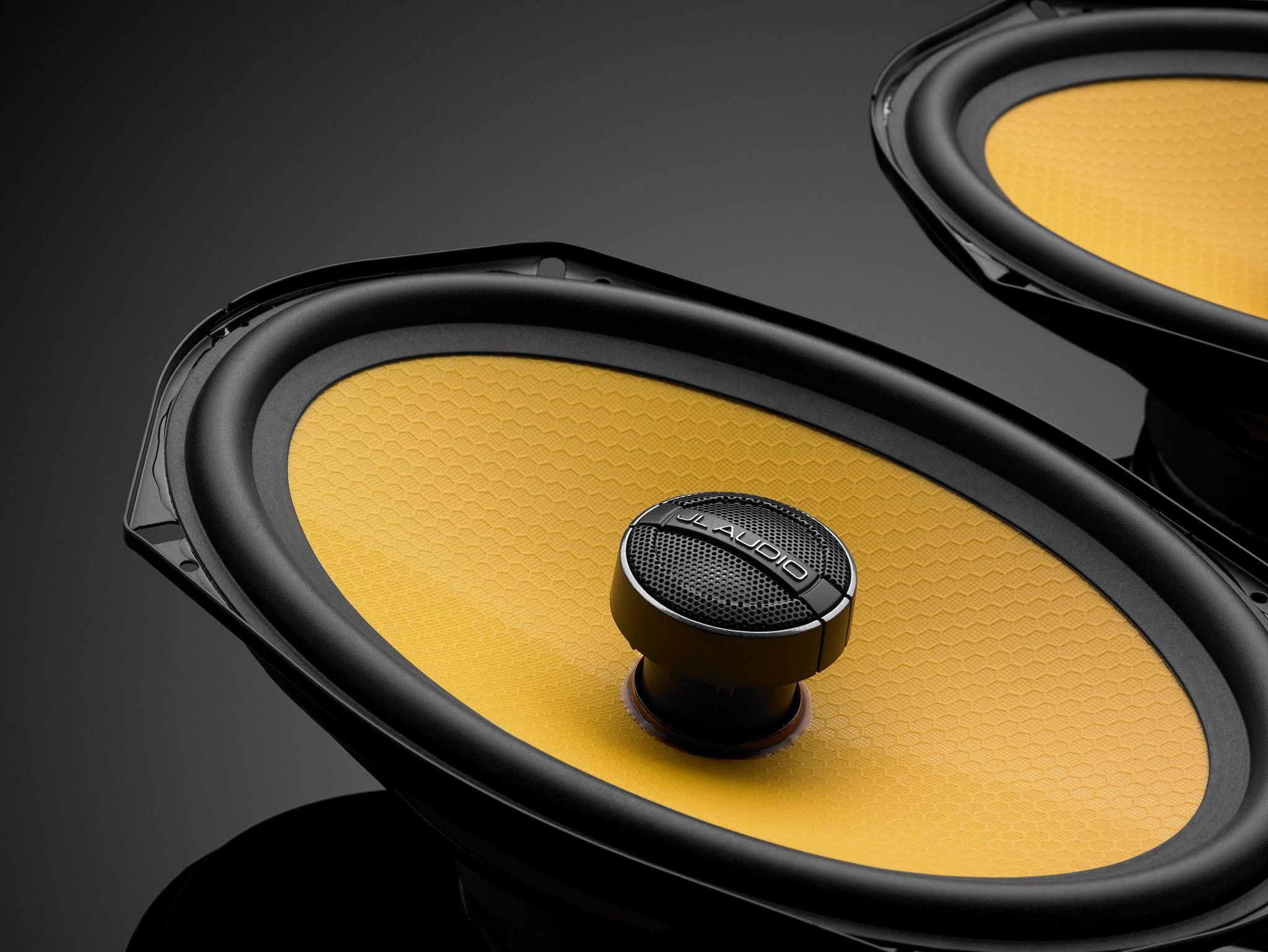 Detail of C1-690x Coaxial Speakers